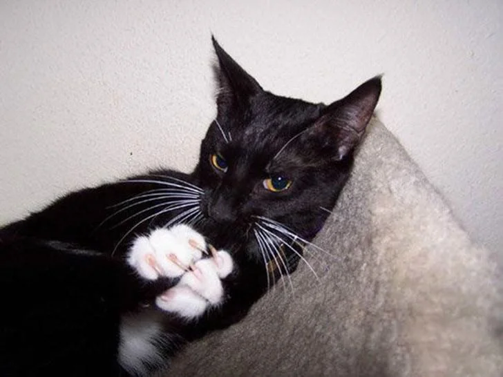 imgs_touch (36).webp