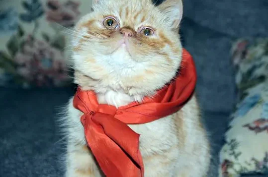 imgs_touch (39).webp