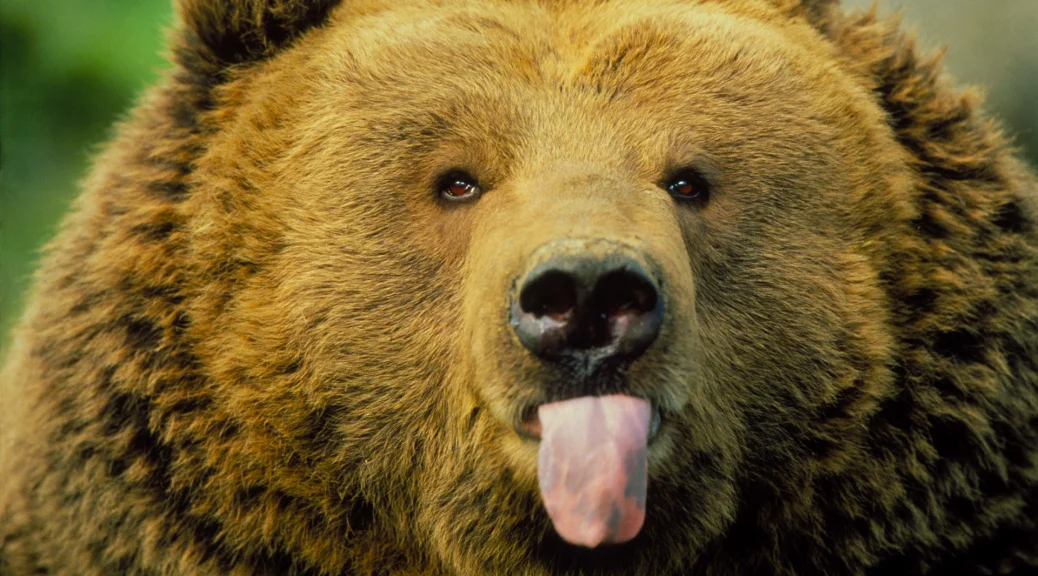 imgs_touch (40).webp