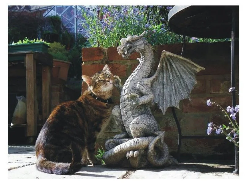 imgs_touch (40).webp