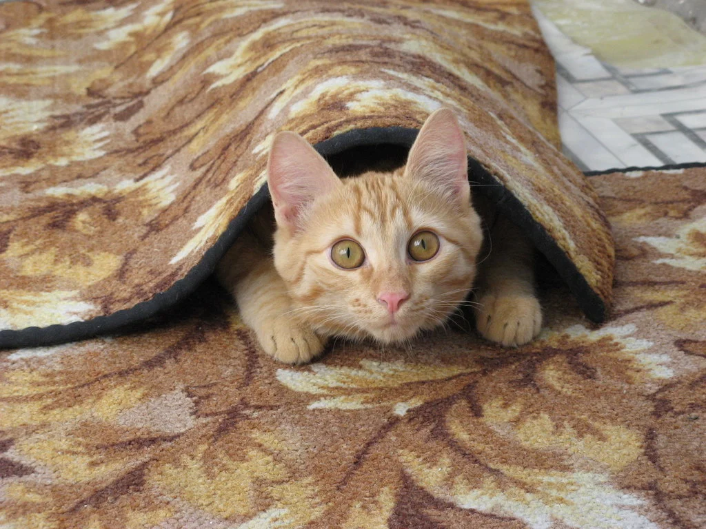 imgs_touch (40).webp