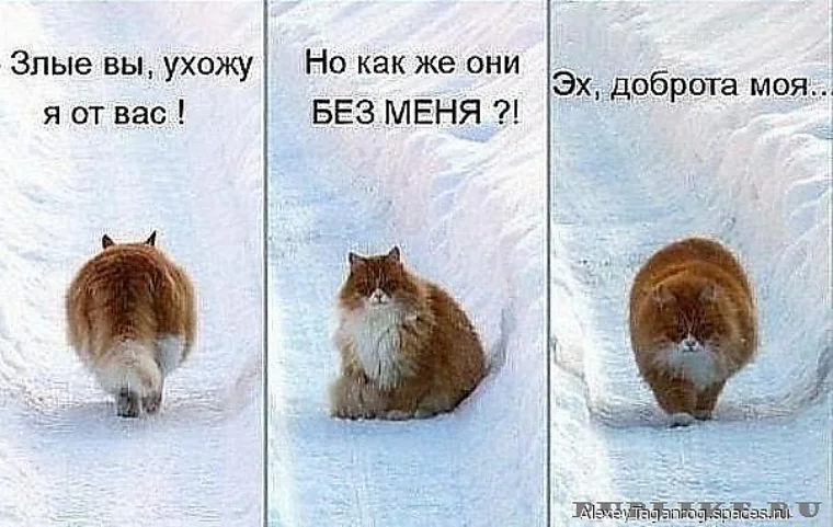 imgs_touch (40).webp