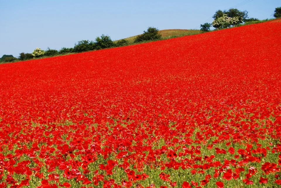 imgs_touch (41).webp