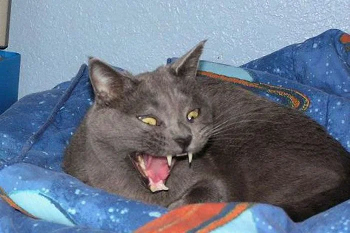 imgs_touch (41).webp