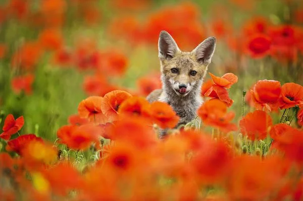 imgs_touch (42).webp