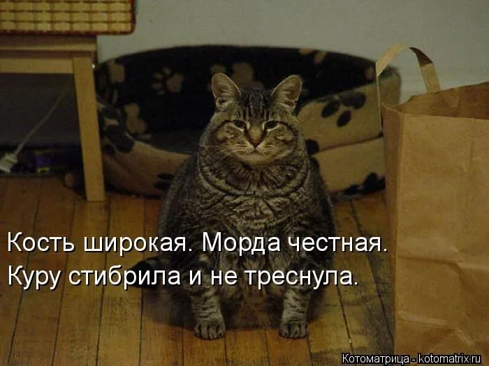 imgs_touch (43).webp