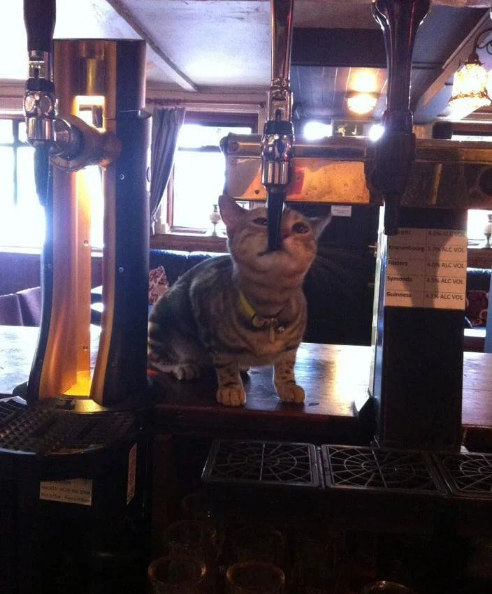 imgs_touch (44).webp