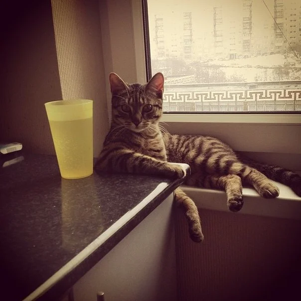 imgs_touch (45).webp