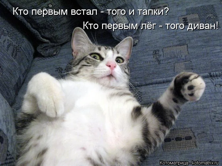 imgs_touch (46).webp