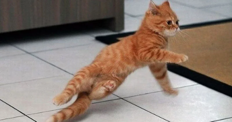 imgs_touch (47).webp