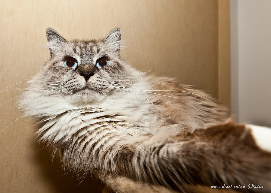 imgs_touch (48).webp