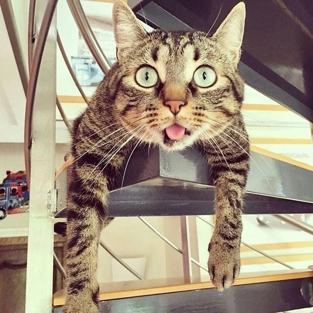 imgs_touch (48).webp