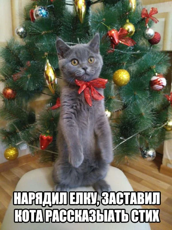 imgs_touch (51).webp