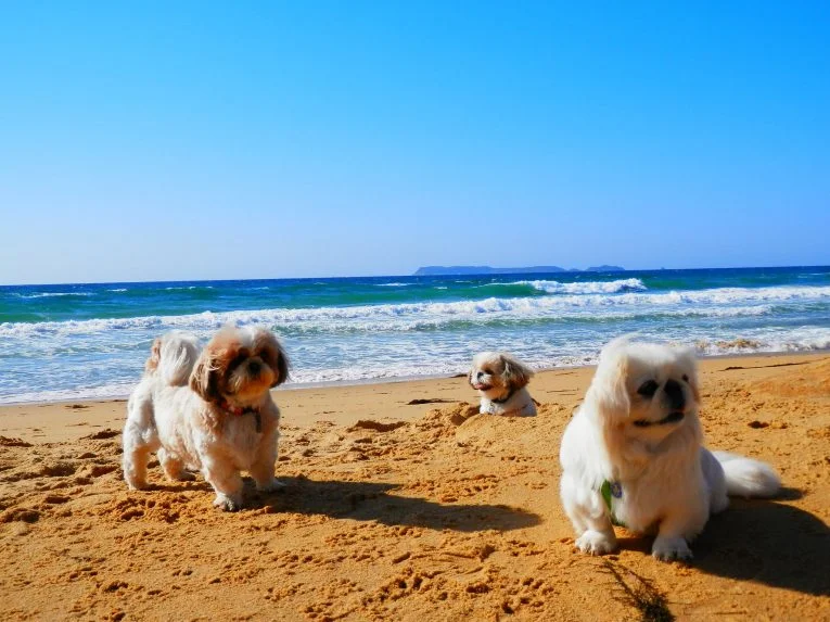 imgs_touch (52).webp