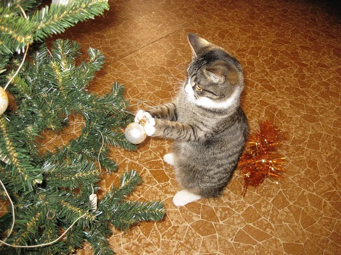 imgs_touch (52).webp