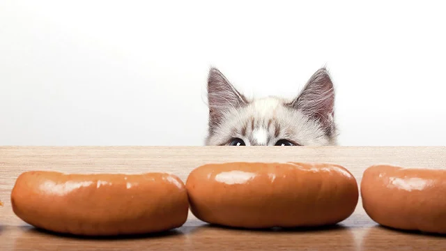 imgs_touch (52).webp