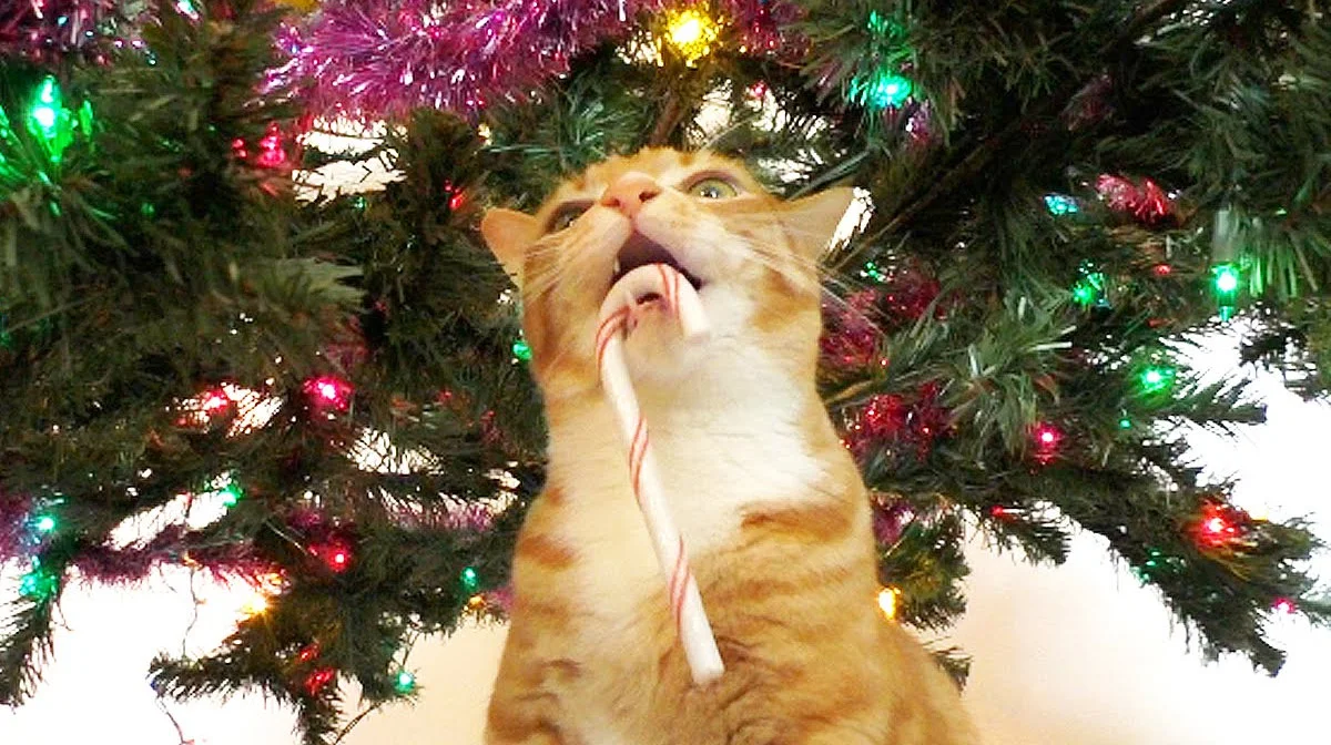 imgs_touch (53).webp