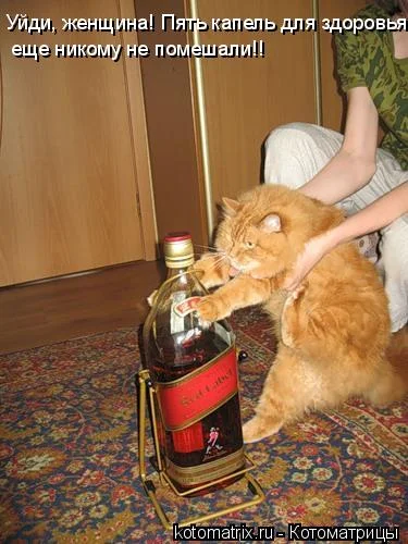 imgs_touch (54).webp