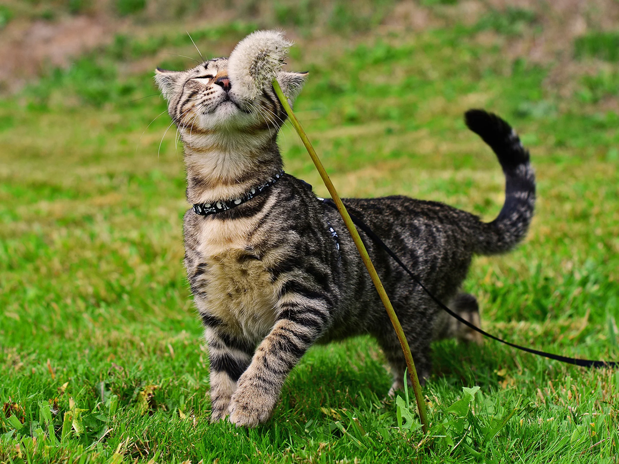 imgs_touch (55).webp