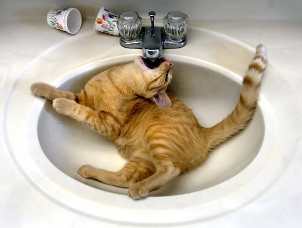 imgs_touch (57).webp