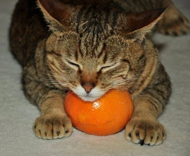 imgs_touch (58).webp