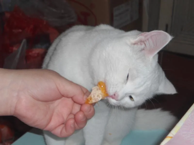 imgs_touch (59).webp