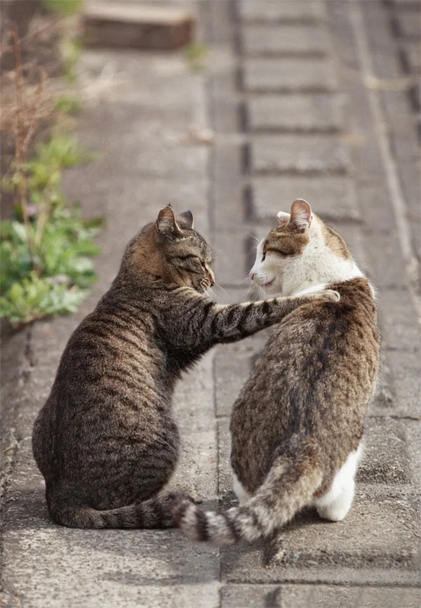 imgs_touch (59).webp