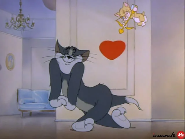 imgs_touch (61).webp