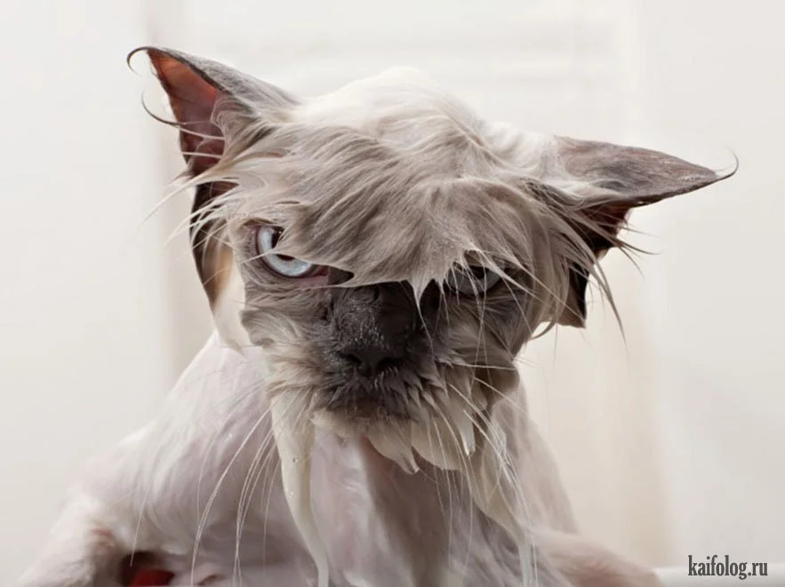 imgs_touch (62).webp