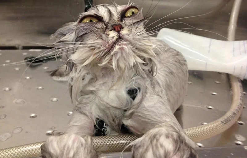 imgs_touch (63).webp