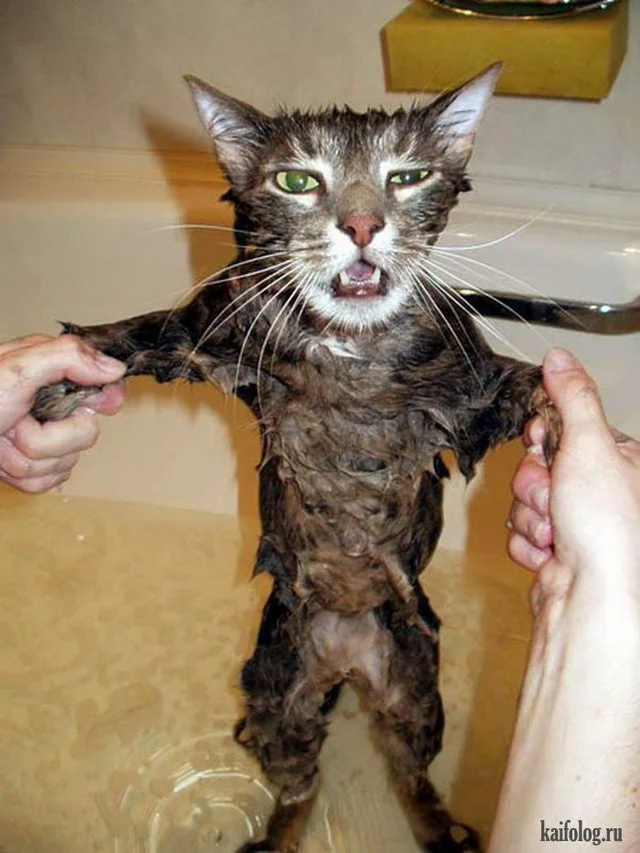 imgs_touch (64).webp