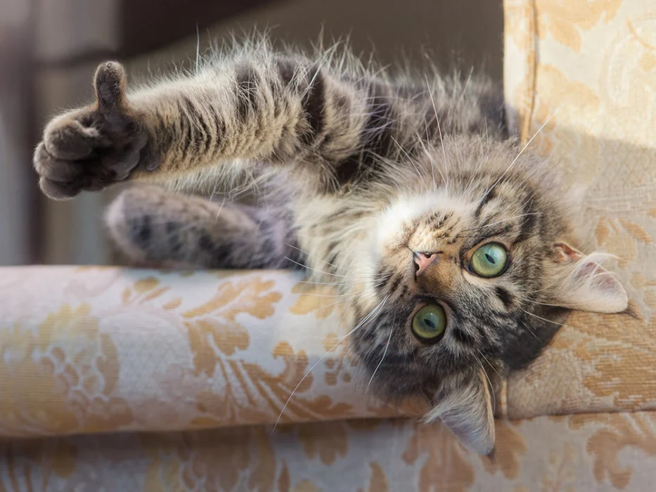 imgs_touch (64).webp