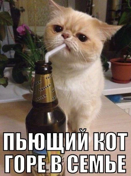 imgs_touch (65).webp