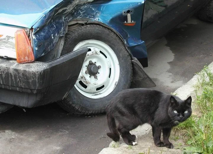 imgs_touch (65).webp