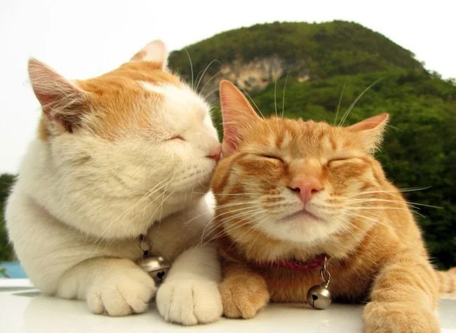 imgs_touch (67).webp