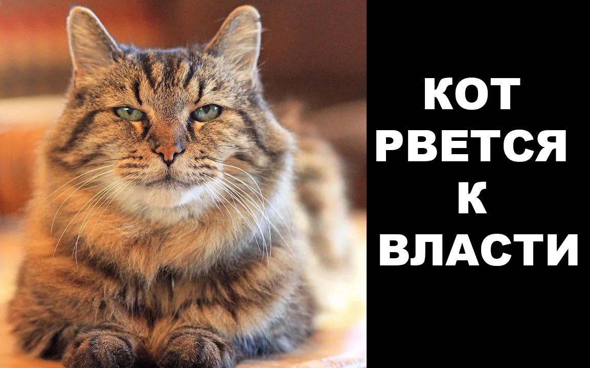 imgs_touch (67).webp