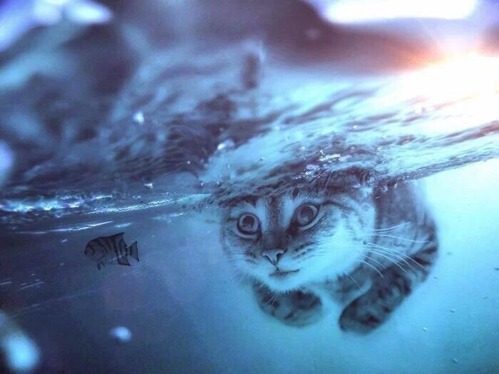 imgs_touch (68).webp