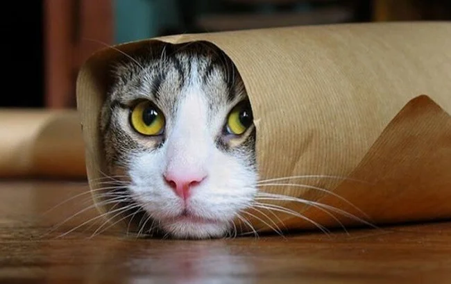 imgs_touch (72).webp