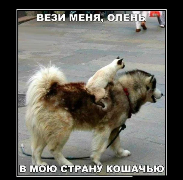 imgs_touch (72).webp