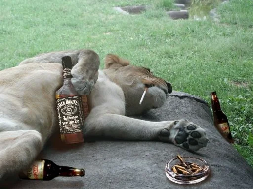 imgs_touch (73).webp