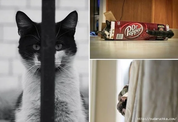 imgs_touch (73).webp