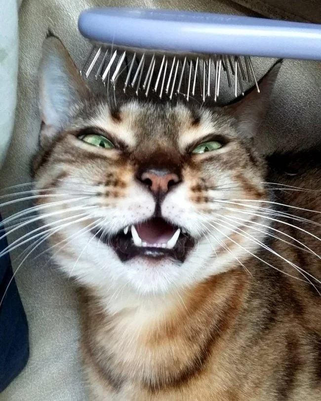 imgs_touch (73).webp