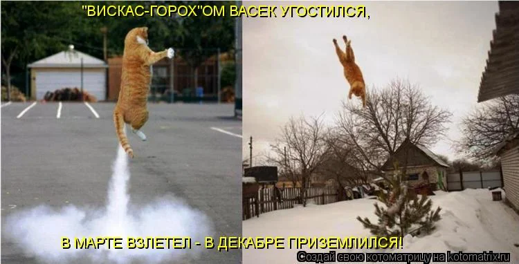 imgs_touch (74).webp