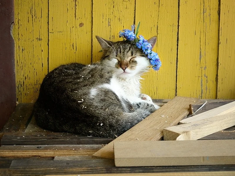 imgs_touch (79).webp