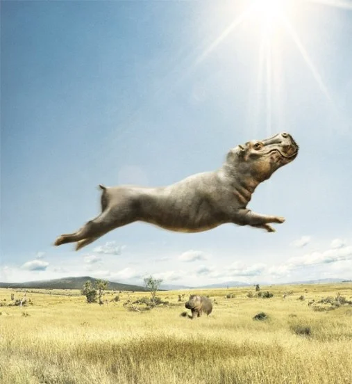 imgs_touch (81).webp