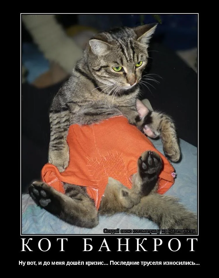 imgs_touch (82).webp