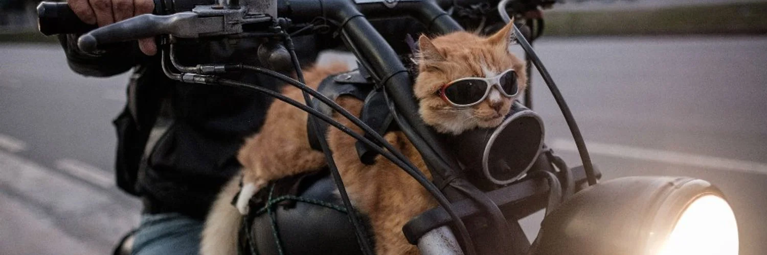 imgs_touch (83).webp