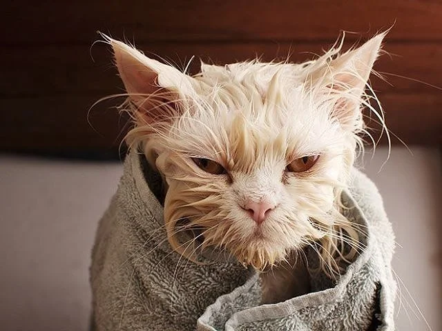 imgs_touch (84).webp