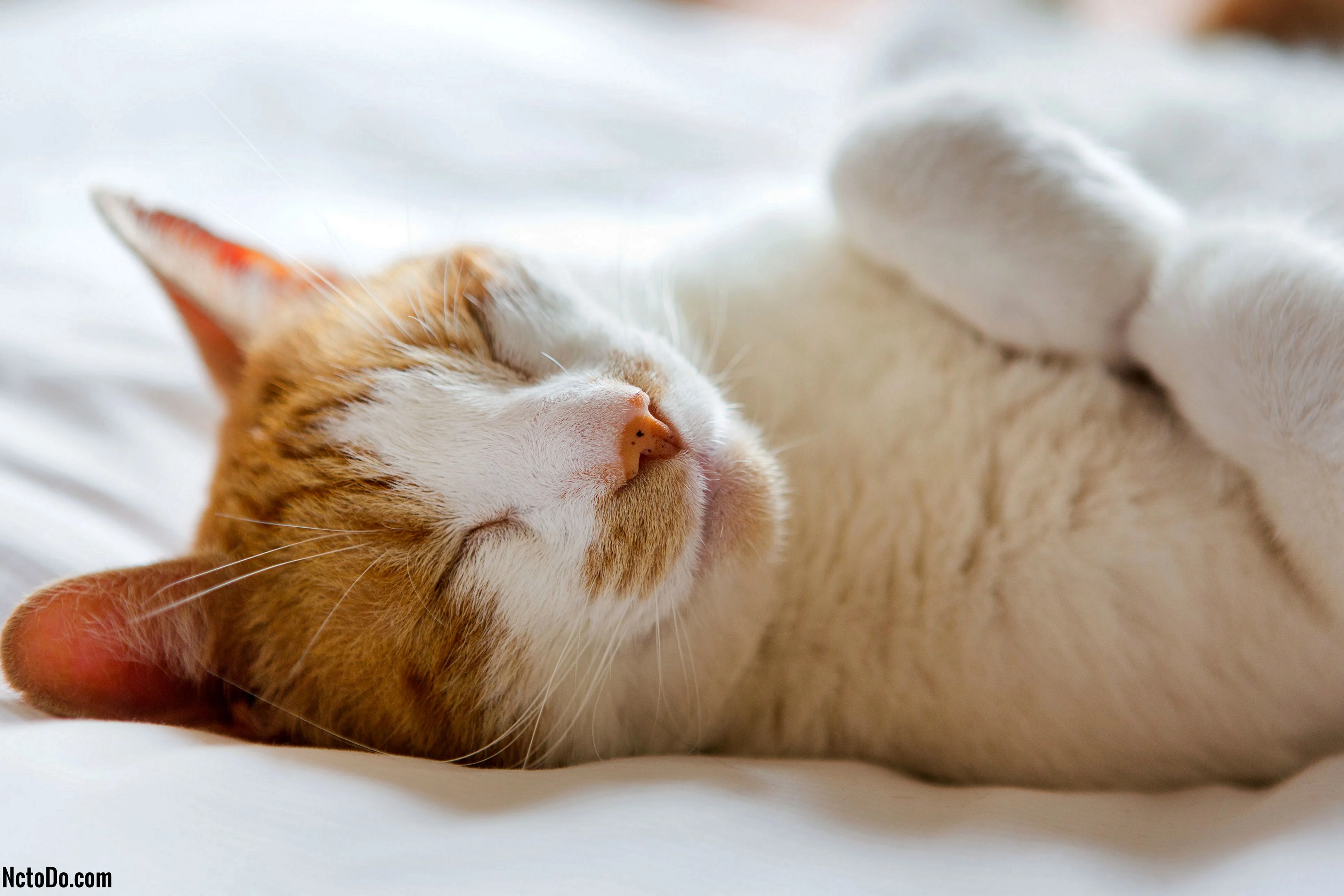 imgs_touch (84).webp