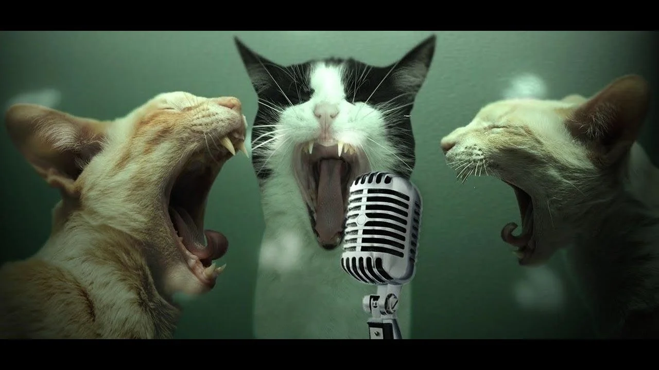 imgs_touch (84).webp